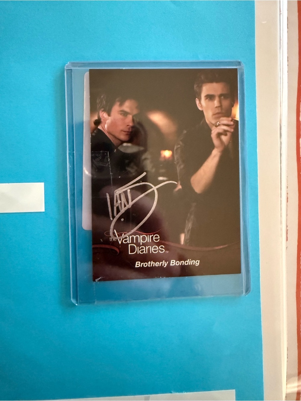 The Vampire Diaries "Brotherly Bonding" Signed Trading Card